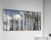 FS230401 151 Acrylic Print