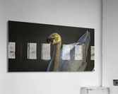Swan 2021 Acrylic Print