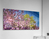 FS230502 Acrylic Print