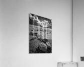 FS170912BW Acrylic Print