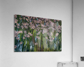 FS220329 Acrylic Print