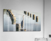 FS230716DW Acrylic Print