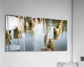 FS230716 3 Acrylic Print