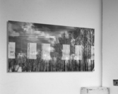 FS230401 074BW Acrylic Print