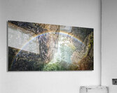 FS180417 01 2 Acrylic Print