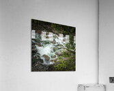 FS180630 18 Acrylic Print