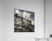 FS230910 04 Acrylic Print