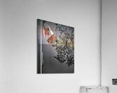 FS230503 FLAG 4 Acrylic Print
