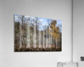 FS231123 Still Creek Acrylic Print
