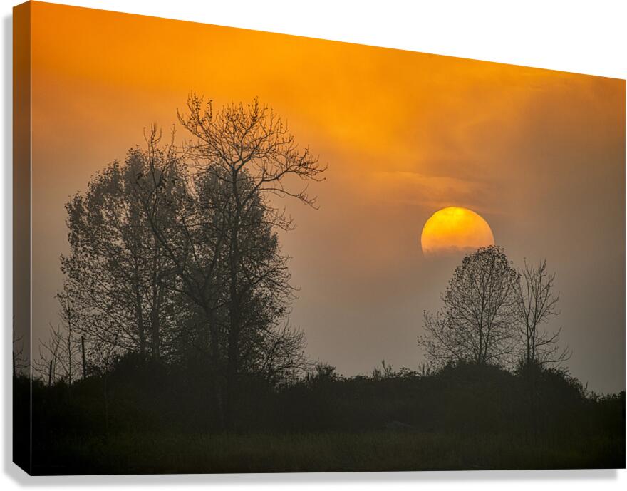 FS221019 278 Canvas Print
