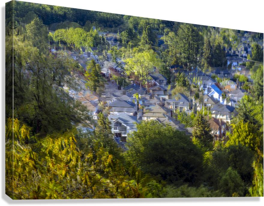 FS240615 VANCITY Canvas Print