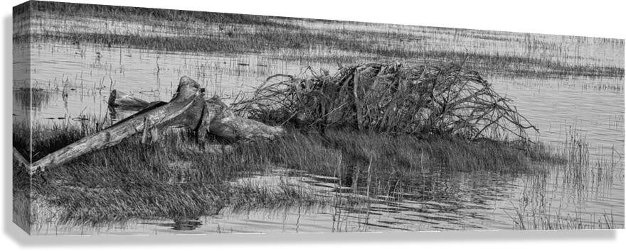Driftwood Panorama 24 Canvas Print