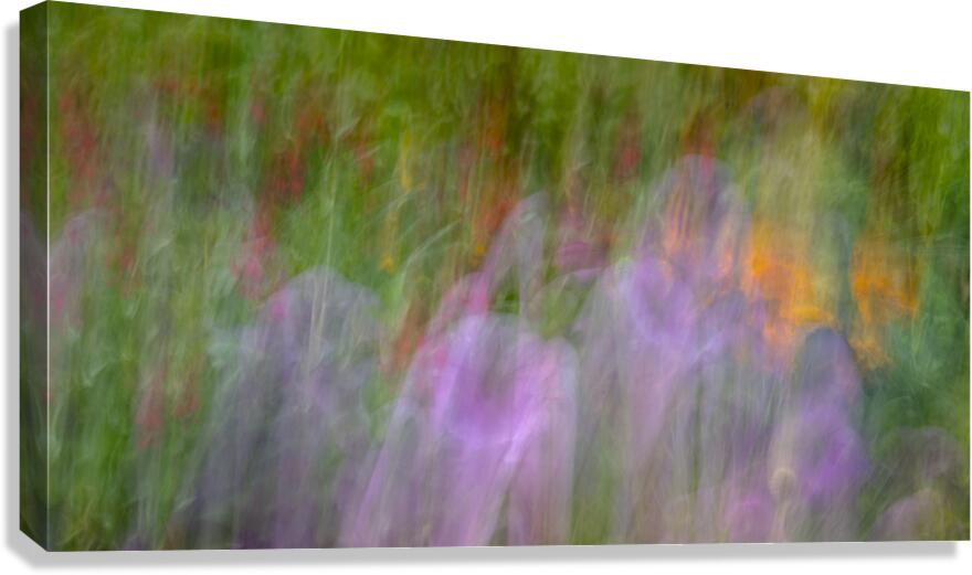 FS240816 FLOWER BED Canvas Print