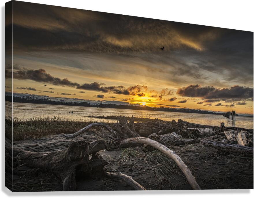 FS241127 Gilbert Beach Canvas Print