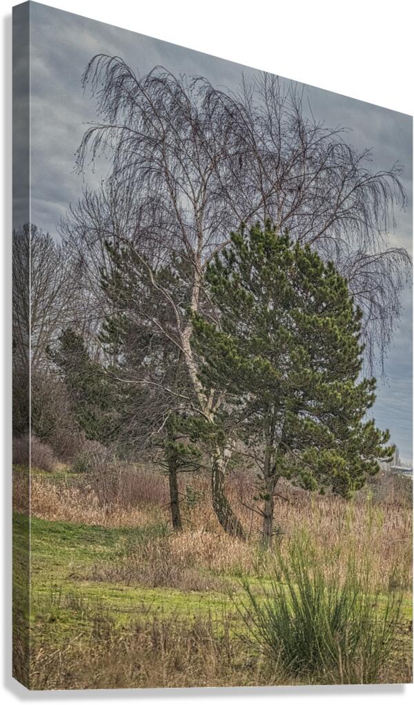FS250101 GREEN LIFE Canvas Print