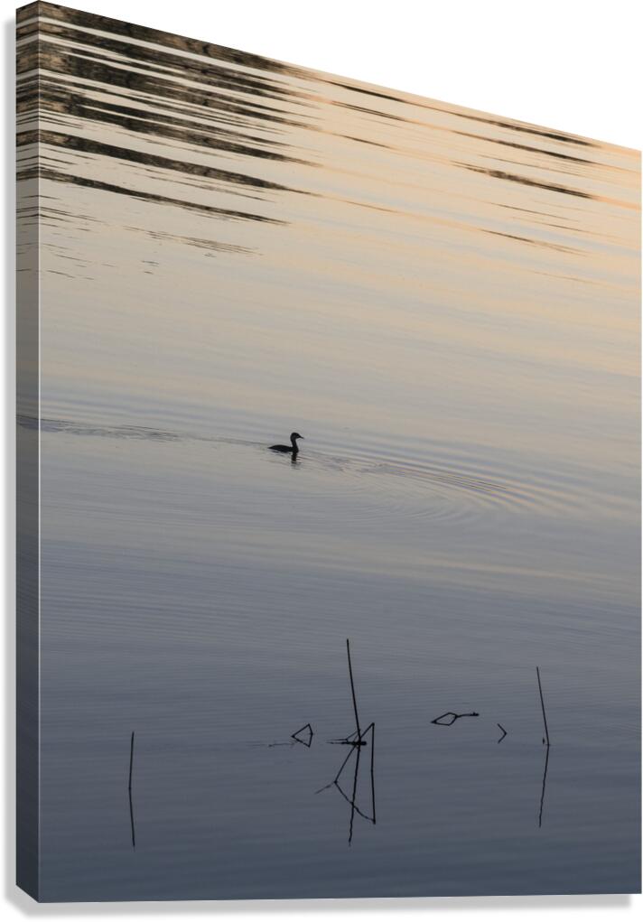 FS251015 02 SHADOWS Canvas Print