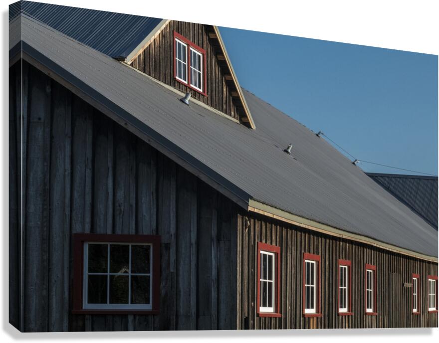 FS260807 WINDOWS Canvas Print