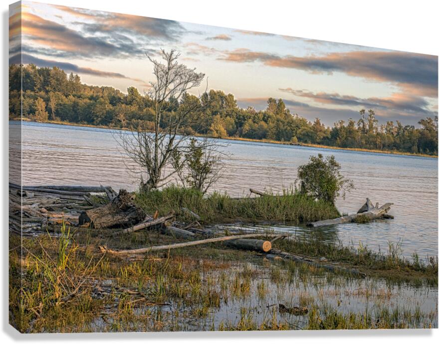 Landscape on Fraser River Canvas Print