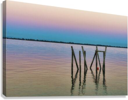 TWILIGHT GLOW IV Canvas Print