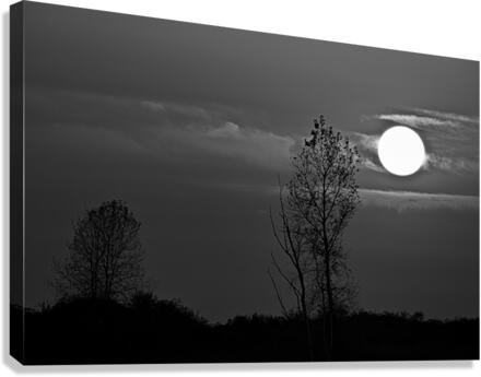 SUNSET AT STEVESTON BW Canvas Print