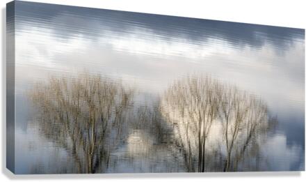 FS230119 Surrealism Canvas Print