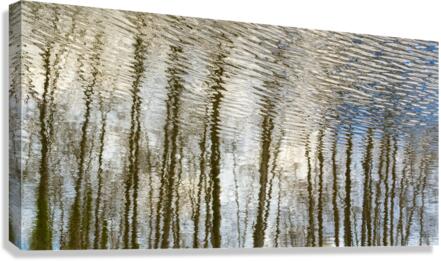 FS230128WW  WATER REFLECTION  水面倒影 Canvas Print