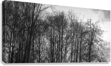 FS230215 215 Canvas Print
