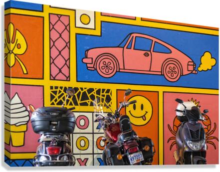 Toys for adults Canvas Print
