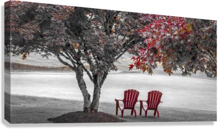 RED CHAIRS UNDER MAPLE TREES Canvas Print