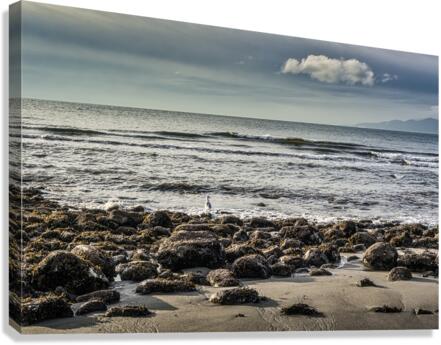 SEASCAPE AT WRECK BEACH Canvas Print
