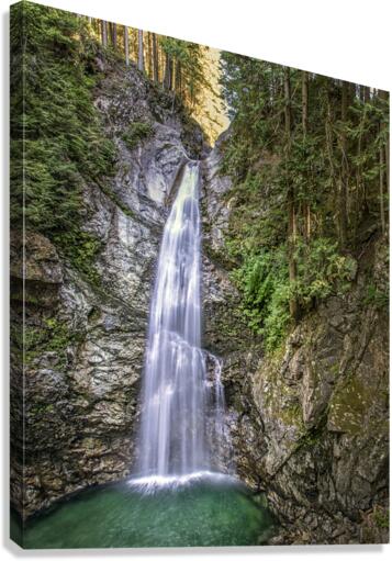 FS170915 04 Canvas Print
