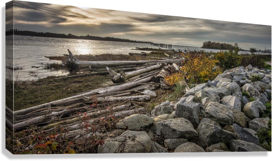 FS2301020  GILBERT BEACH Canvas Print
