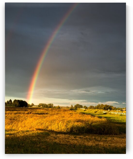 FS160617AA by FOTOSQUARES COM