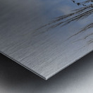 FS240207 BIRDS Metal print