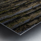 FS240207DW Metal print