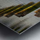 FS220930 041 Metal print