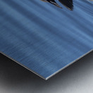 FS240422 430 Metal print