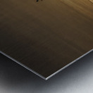 FS240514 Golden Hour Metal print