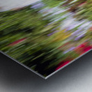 20240615 icm Metal print