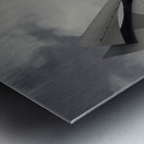 FS240229 36  Metal print