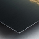 FS250201 FREE AS THE WIND Metal print