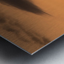 20250121 07 154 Metal print