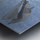 FS240229E Edit Metal print