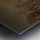 FS250118 SILHOUETTES Metal print