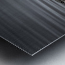 FS240422 GOOSE MOTHER AND KIDS Metal print