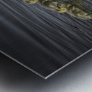 FS240422 GEESE FAMILY Metal print