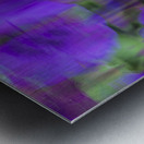 20240819 38 Edit Metal print