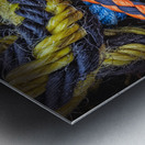 FS120331 ROPES Metal print