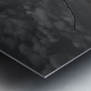 FS250211 EAGLES TWOGETHER BW2 Metal print