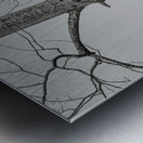 FS250209DBW TWO EAGLES HIGHKEY Metal print